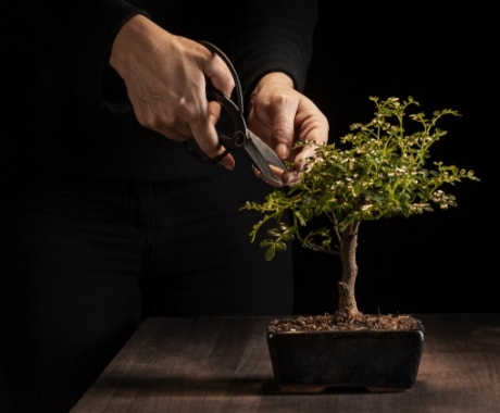 Helping Innovation Thrive